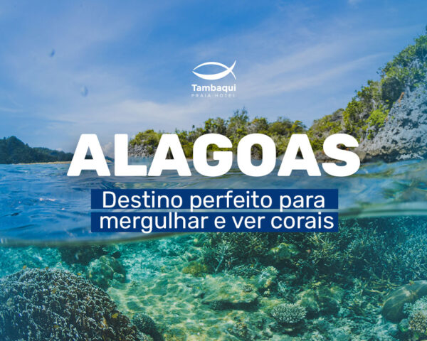 Alagoas-destino-perfeito-para-mergulhar-e-ver-corais - Tambaqui Praia Hotel
