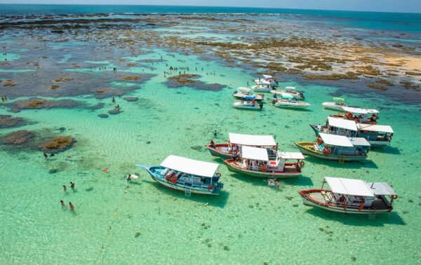 Galés de Maragogi Foto jaraguaturismo