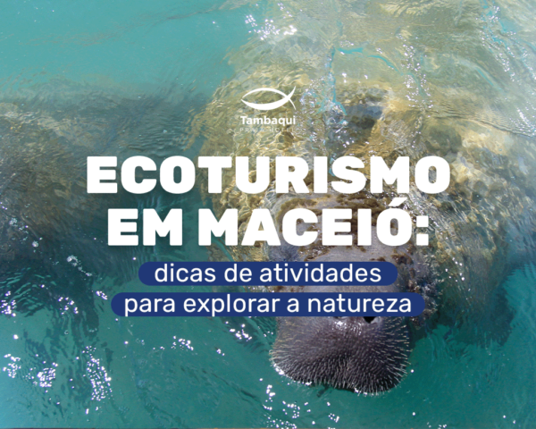 Hotel Tambaqui - Maceió - Ecoturismo em Maceió dicas de atividades para explorar a Natureza