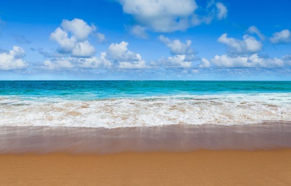 Praias tranquilas em Alagoas